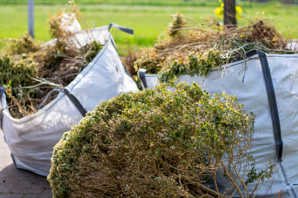 Best Basement Cleanout Services  in Warner Robins, GA